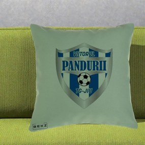 Perna Personalizata Pandurii Targu Jiu Fotbal, 40x40 cm, Verde, Husa Detasabila, Perna Inclusa, BEKZ®