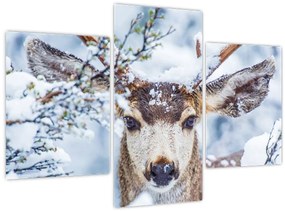 Tablou - Cerbul catâr (90x60 cm)