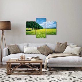 Tablou - Câmp cu alei (90x60 cm)