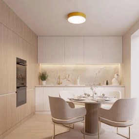 Plafonieră Brilagi CLARE 3xE27/24W/230V d. 40 cm auriu