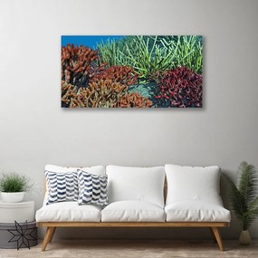 Tablou pe panza canvas Coral Reef Natura Multi