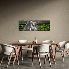 Tablou - maimuțica (cu ceas) (90x30 cm)