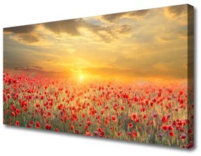 Tablou pe panza canvas Sun Meadow Poppy Flori Natura Galben Roșu Verde