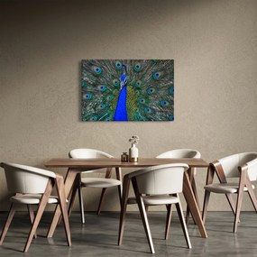 Tablou - Păun (90x60 cm)