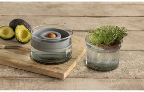Ghiveci din sticlă pentru ierburi aromatice ø 12 cm – Esschert Design
