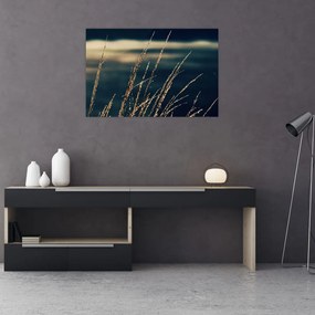 Tablou cu ierburi (90x60 cm)
