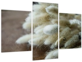 Tablou - Coadă de iepure (90x60 cm)