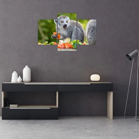 Tablou cu lemur (90x60 cm)