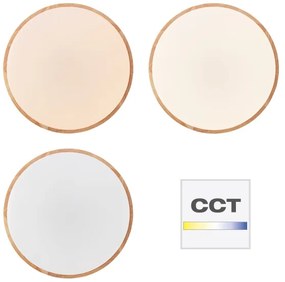 Brilliant - Plafonieră LED dimerizabilă SLIMLINE LED/60W/230V + telecomandă