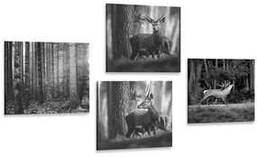 Set tablouri animale de pădure în design alb-negru
