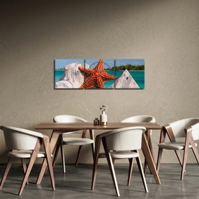 Tablou cu stea de mare (cu ceas) (90x30 cm)