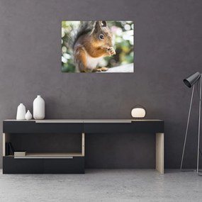 Tablou pe sticlă cu veverița (70x50 cm)