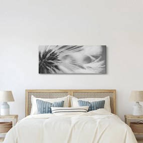 Tablou - Păpădie (120x50 cm)