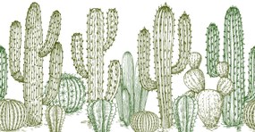 Fototapete, Cactusi, Art.015317