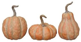 Dovleac decorativ Pumpkin portocaliu - modele diverse