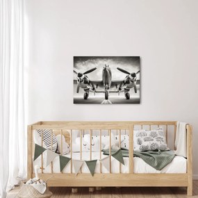 Tablou - Warbird (70x50 cm)