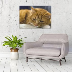 Tablou pe sticlă cu pisica (70x50 cm)