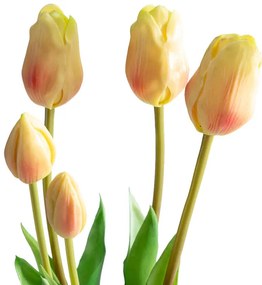 Buchet LALELE galben deschis, 46 cm, 5 buc