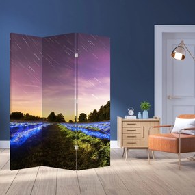 Paravan - Câmp colorat (126x170 cm)