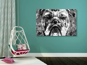 Tablou buldog în design alb-negru