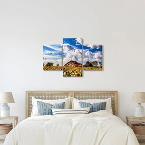 Tablou cu câmp de floarea soarelui (90x60 cm)