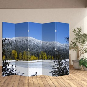Paravan - Munții înzăpeziți iarna (210x170 cm)