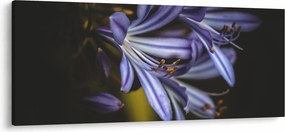 Tablou - Lila (120x50 cm)