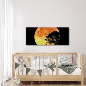 Tablou cu umbre în lumina lunii (120x50 cm)