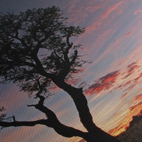 Tablou - Copac și nuanțe roșiatice (120x50 cm)