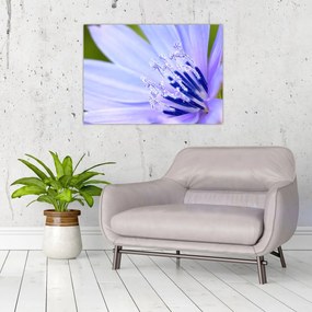 Tablou - Floare (70x50 cm)