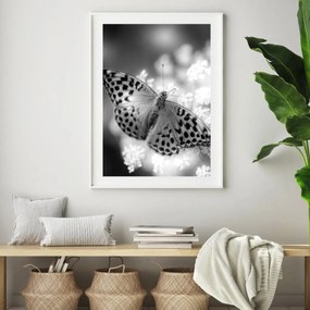 Poster - Fluture (A4)