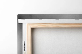 Tablou natura moartă Feng Shui în design alb-negru