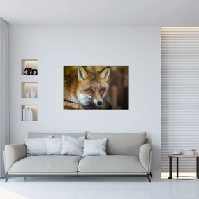 Tablou cu vulpe (90x60 cm)