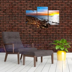 Tablou - Pescărușul zboară deasupra coastei (90x60 cm)