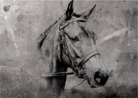 Tablou - Portret de cal (70x50 cm)