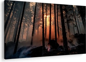 Tablou cu pădure întunecată (90x60 cm)