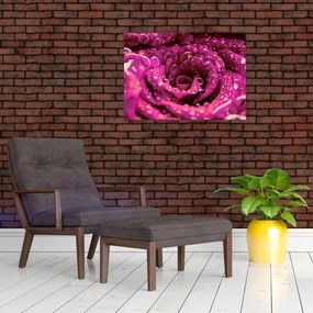 Tablou pe sticlă cu floarea trandafirului roz (70x50 cm)