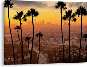 Tablou - Panorama din Los Angeles (70x50 cm)
