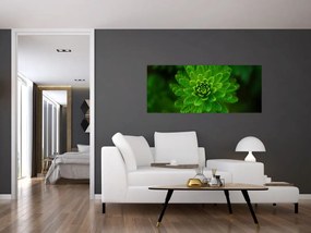 Tablou cu coniferi (120x50 cm)