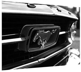 Tablou detailat cu mașina Mustang (70x50 cm), în 40 de alte dimensiuni noi