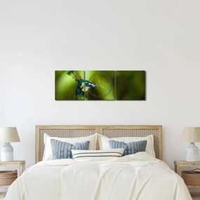 Tablou cu păun (cu ceas) (90x30 cm)