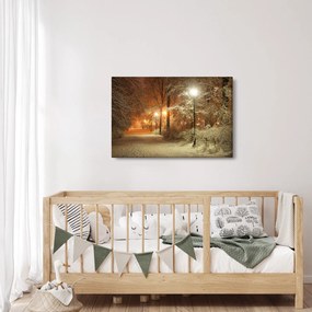 Tablou - Parcul înzăpezit (90x60 cm)