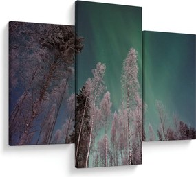 Tablou cu aurora borealis deasupra pomilor înghețați (90x60 cm)