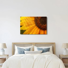 Tablou - Floarea-soarelui (90x60 cm)