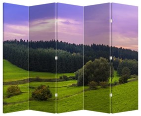 Paravan - Lunca (210x170 cm)