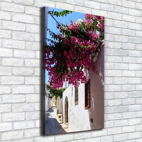 Tablou canvas Rhodes Grecia