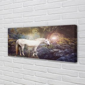 Tablouri canvas Unicorn în pădure