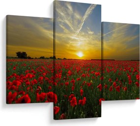 Tablou cu câmp cu maci (90x60 cm)