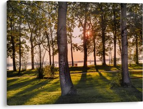Tablou cu pomi lângă lac (70x50 cm)