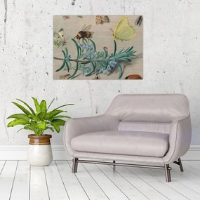 Tablou - Jan van Kessel the Elder, Insects and a Sprig of Rosemary, reproducere (70x50 cm)